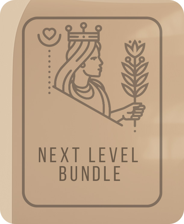 NEXT LEVEL BUNDLE